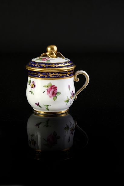 Late 18th century Sèvres porcelain juice...