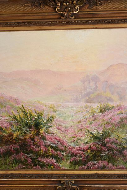 Édouard PAÏL (1851-1916) Landscape of heather
Oil on canvas.
Signed lower left
46...
