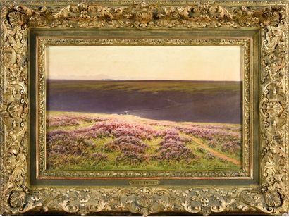 William DIDIER- POUGET (1864 -1959) Lande de bruyère rose
Huile sur toile Signée...