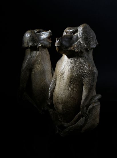 null Couple de babouins en terre cuite polychrome, les yeux en sulfure, représentés...