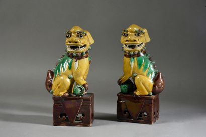 null Couple of Fo's dogs in cookie with three colors enamel decoration (susancai)
Kangxi...