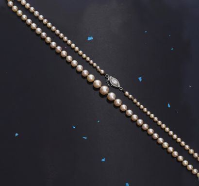 null Necklace of pearls in fall of cultured pearls (8,33 mm to 3,6 mm approximately),...
