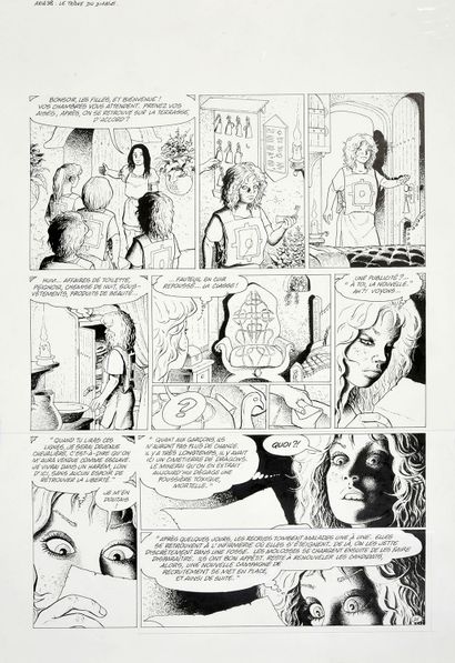 WEYLAND, MICHEL (1947) 
ARIA TOME 38, LE TRONE DU DIABLE, PLANCHE 26.



Encre de...