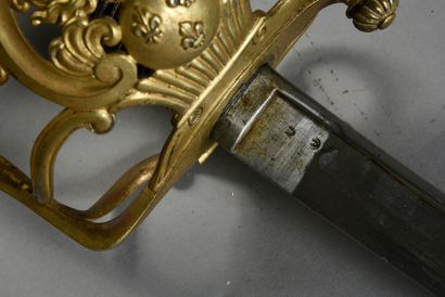 null Elite Company sword of the Dragoon Regiments, "battle" type guard decorated...