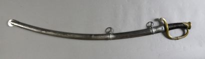 null Officer's saber of horse artillery model 1829, horn fuse (watermark missing),...