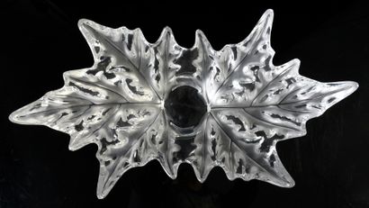 LALIQUE FRANCE Grande coupe modèle Elysée en cristal moulé à décor de feuilles de...