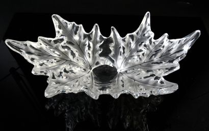 LALIQUE FRANCE Grande coupe modèle Elysée en cristal moulé à décor de feuilles de...