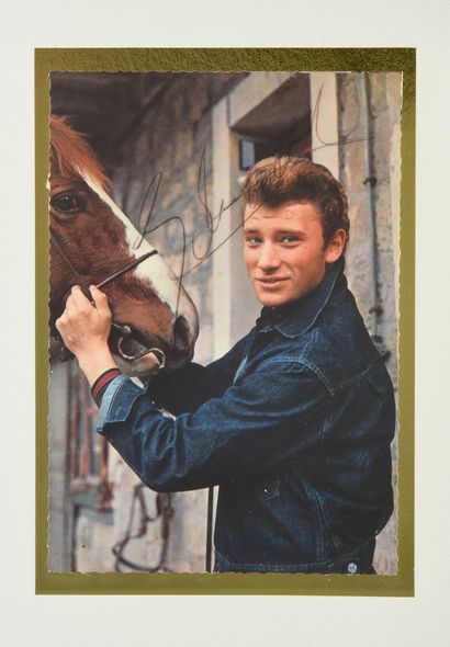 null JOHNNY HALLYDAY : 1 set of 4 promotional postcards of the rocker, signed and...