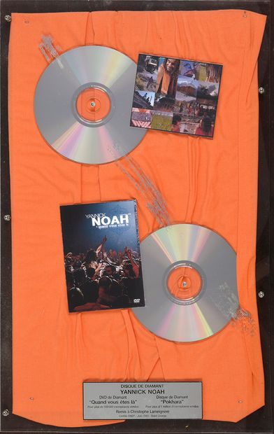 YANNICK NOAH (1960) : Auteur-compositeur et interprète. 1 disc and 1 diamond DVD...