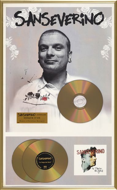 SANSEVERINO (1961) : Auteur-compositeur et interprète. 1 disque d'or de l'album « Les...