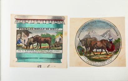 L.T.Piver (vers 1860) Album relié de 38 planches illustrées polychromes avec vignettes...