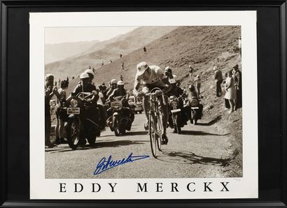 Eddy Merckx. Black and white poster photo...