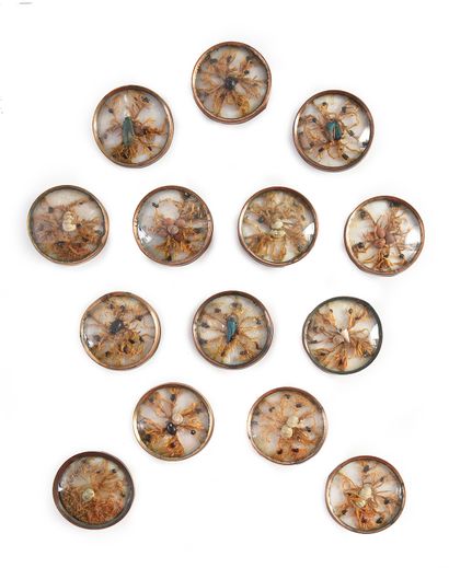 null Rare set of 14 buttons called "à la Buffon", circled with copper, holding mosses,...