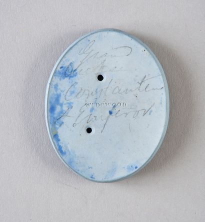 null Bisque medallion on a blue background, oval shape, representing the profiles...