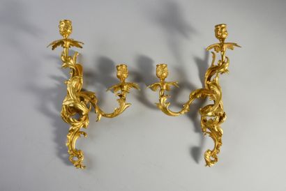 Pair of rocaille sconces with two ormolu...
