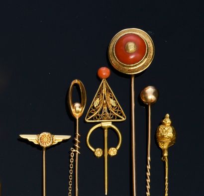 null Six gold pins, one with a pink coral disc and one with a miniature fibula.
Gross...