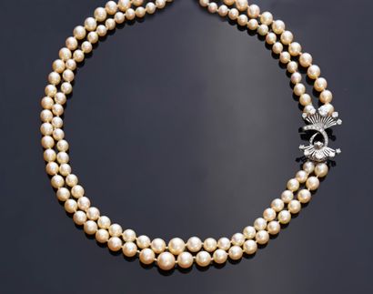 null Necklace composed of a double row of cultured pearls in fall, from 4 to 8.7...