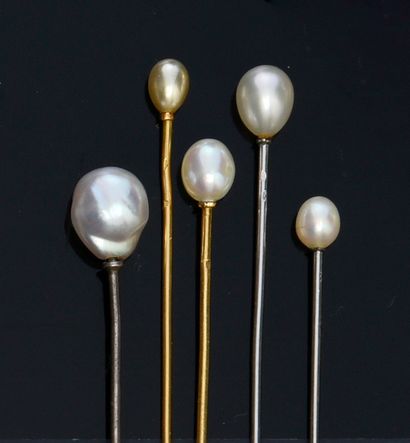 Cinq épingles en or 750e, ornées de perles...