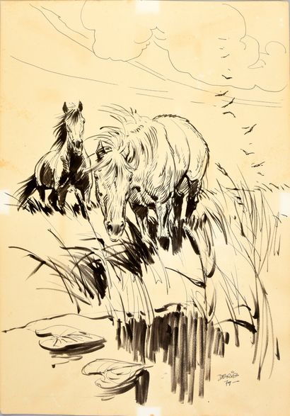null DERIB (Claude de Ribeaupierre / 1944)

Two horses in the meadow. Magnificent...
