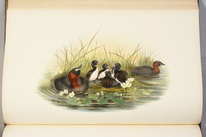 GOULD John The birds of Great Britain. Londres, l'auteur, [1862]-1873.
5 vol. in-folio,...