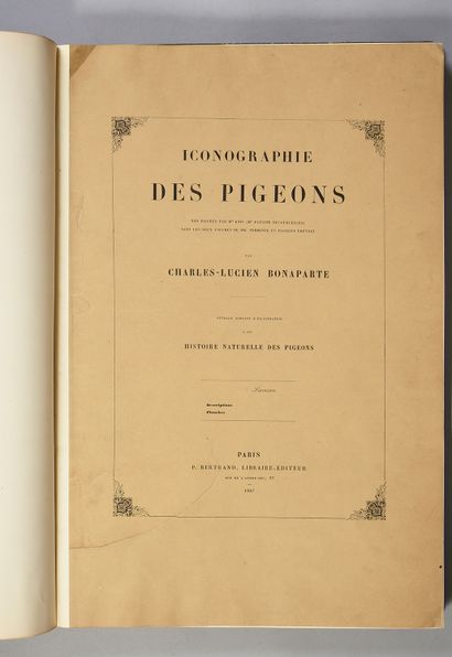 BONAPARTE Charles-Lucien Iconographie des pigeons. Paris, P.Bertrand, 1857 [1858].
Grand...
