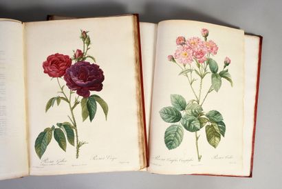 REDOUTÉ Pierre Joseph & Claude-Antoine THORY 
Les roses. Paris, imprimerie Firmin...