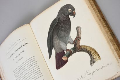 LEVAILLANT François Histoire naturelle des perroquets. Paris, Levrault frères, 1801-1805.
2...