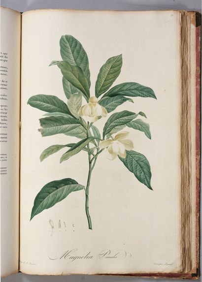 VENTENAT Étienne-Pierre Jardin de la Malmaison. Paris, Crapelet et l'auteur, 1803-1804.
2...