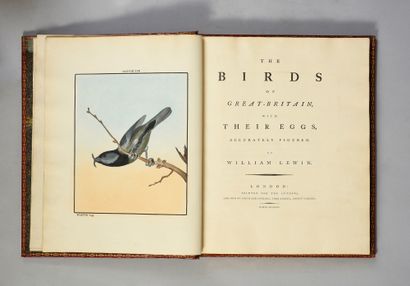 LEWIN William The birds of Great Britain with their eggs... Londres, l'auteur, 1789-1794.
7...