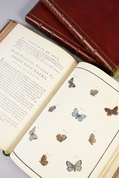 [ENGRAMELLE Jacques Louis Florentin] Papillons d'Europe... Paris, P. M.Delaguette...