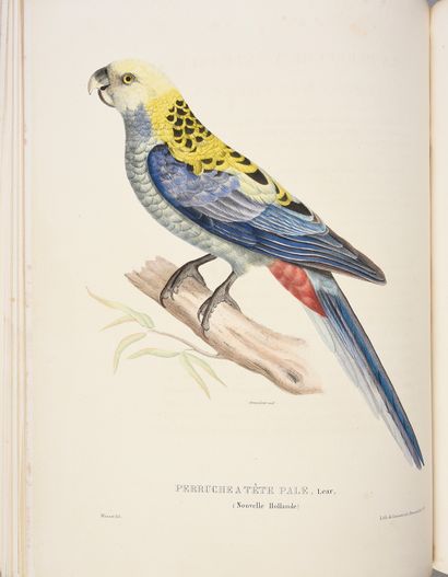 BOURJOT SAINT-HILAIRE Alexandre Histoire naturelle des perroquets. Troisième volume...