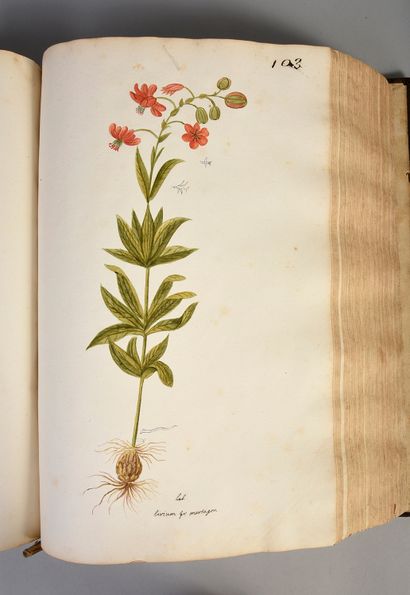 GARIDEL Pierre-Joseph Recueil des plantes qui naissent en Provence. Aix, 1705.
Manuscrit...