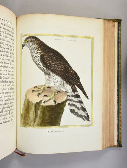 [BUFFON Georges-Louis de] Histoire naturelle des oiseaux. Paris, Imprimerie royale,...