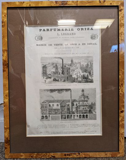 null PARFUMERIE ORIZA - (1900's)

Advertising illustrated in grisaille of a two-dimensional...