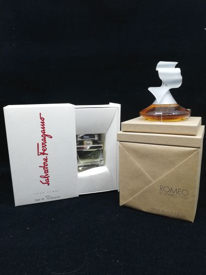 null Divers Parfumeurs – (années 1990-2000)

Lot comprenant un flacon 15ml d’extrait...