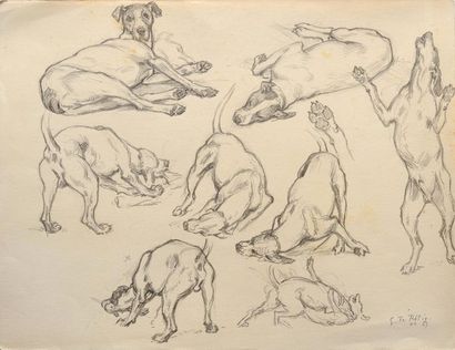 Georges Frédéric RÖTIG (1873-1961) Etudes de chiens. Deux dessins dont un aquarellé,...