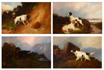 Colin GREENE (école anglaise XIX-XXe) Chiens de chasse Série de 4 huiles sur toiles...