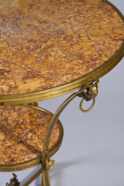 null Gilt bronze and chased pedestal table with two trays in Spanish brocatelle marble,...