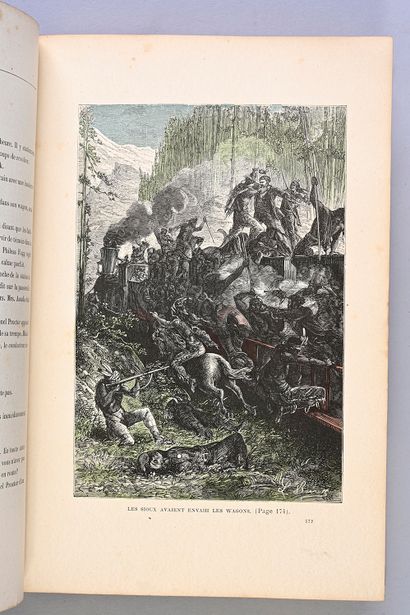 null Exceptional collection of the 47 volumes of Jules Verne, the spine with the...