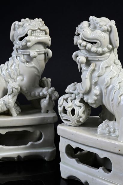 CHINE, XVIIe siècle Pair of white porcelain Fo dogs, presented on rectangular openwork...