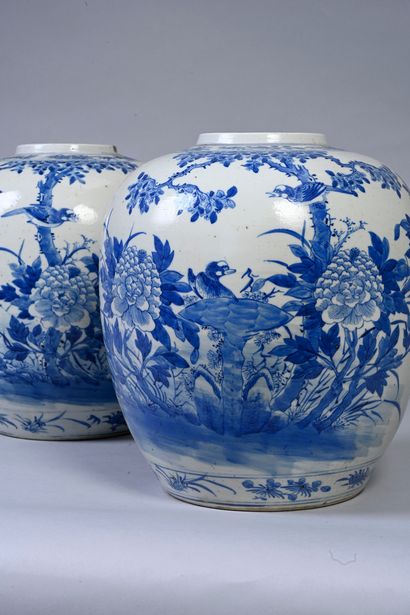 CHINE, XIXe siècle Paire de jarres ovoïdes en porcelaine à décor bleu et blanc d'oiseaux...