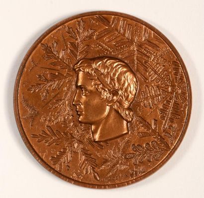 null 1968. Grenoble. Médaille officielle des participants. En bronze. Graveur Coeffin...
