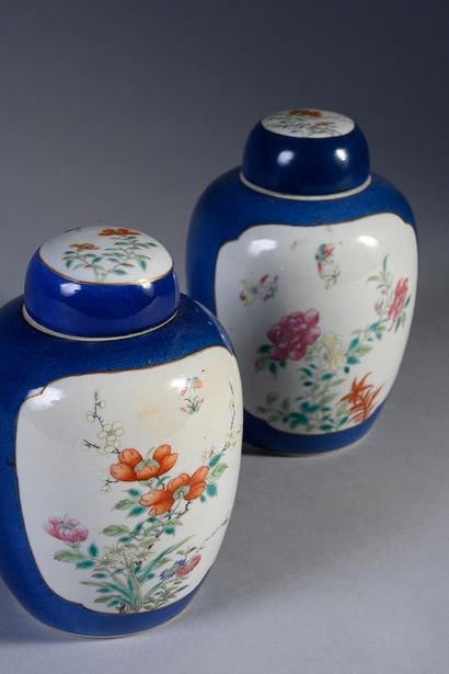 null Pair of small covered pots in polychrome porcelain on a blue and white background,...