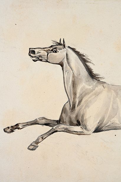 Attribué à Horace VERNET (Paris 1789 - 1863) Study sheet recto verso: horse in full...