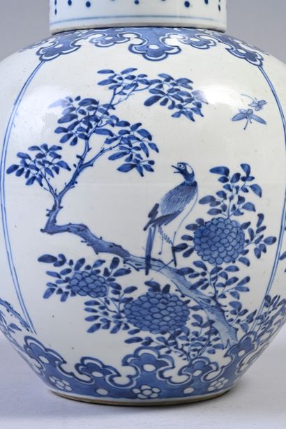 null Potiche couverte bleu à blanc à décor d'oiseaux et papillons sur branchage chine....