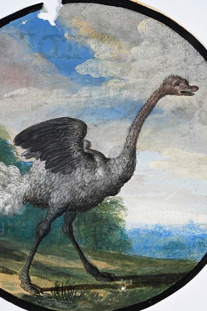 Ecole allemande du XVIIème siècle The ostrich
Gouache 13 cm in diameter
Small lack...