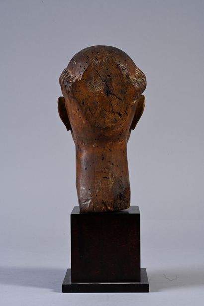 null Monk's head in walnut carved in the round.
Tonsured skull with crown of wavy...