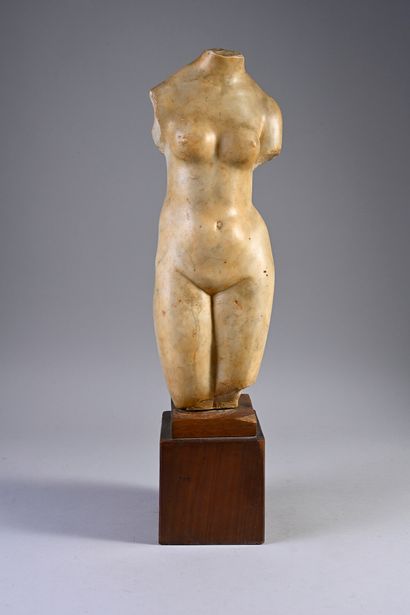 Buste de femme en marbre sculpté, socle en...
