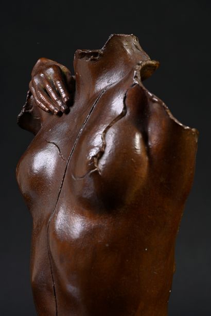 Igor MITORAJ (1944 -2014) Kea
Sculpture in bronze with brown patina representing...
