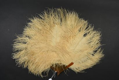 null Two feather fans, Europe, circa 1900 
*One in pink tinted ostrich feathers....